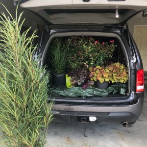 truck filled with plants